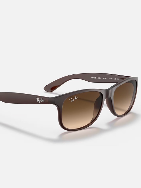 Ray-Ban Andy sunglasses (RB4202). Brown frame/brown gradient lenses main image 2